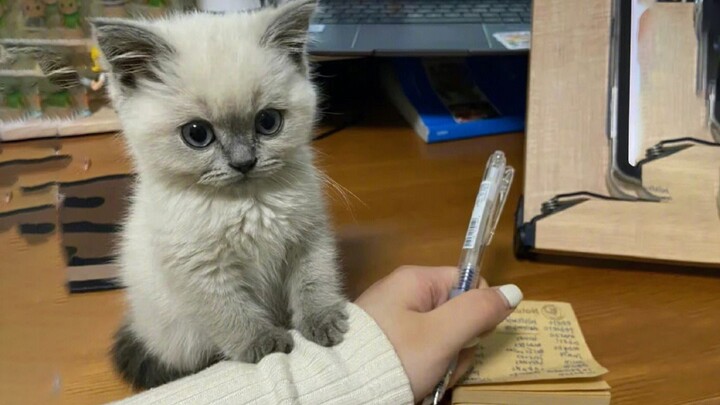 هل يمكنك أن تلعب معي قليلًا؟