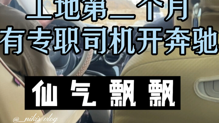 Today's new ride: a Mercedes-Benz business vehicle. (Don't follow my example, tiger!)