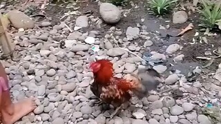 masikip ang lugar eii kaya tiis muna sa grabahan