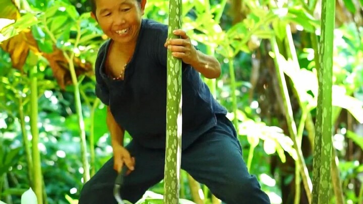 Carrying over 90 pounds of konjac stems, it takes 6 days of traditional hand-cooking, shredding, and