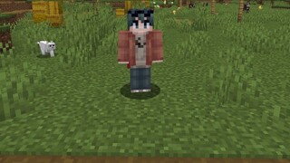 [Minecraft] Genshin Impact mod from scratch (progress report 1)