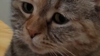 أخيرًا عرفت لماذا يستطيع الطفل أن يربط أمه به