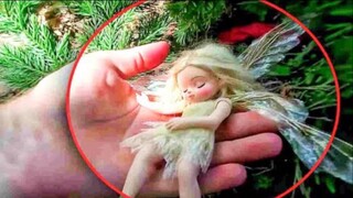 15 Real Fairies Caught On Camera And Seen In Real Life
