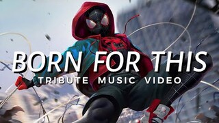 SPIDER-MAN: INTO THE SPIDER VERSE 「 MMV 」 Born For This