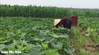 Hoa chuối nấu chân giò đúng vị quê hương xem là nhớ nhà (Banana Flower) - Cơm Mẹ Nấu