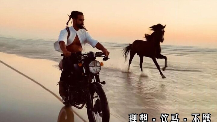 我愿乘脱缰之马，扶摇千里不问归期，奈何我心之所向，只得在窗边回望~