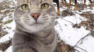 I finally figured out how to take selfies!