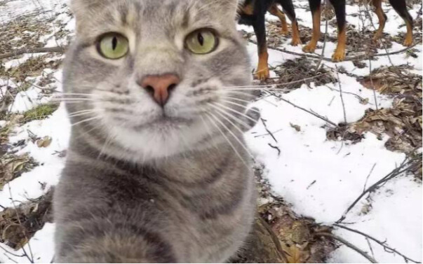 Swafoto jadi jelas berkat dia