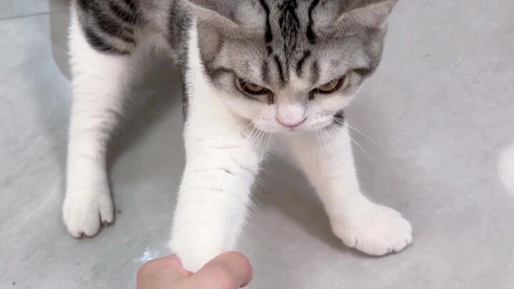 Ketika aku terus memegangi kaki Mi dan tidak melepaskannya