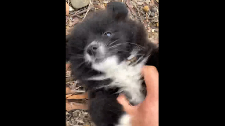 Oh my gosh, there's nowhere to run! The big monster insists on tickling my funny bone.