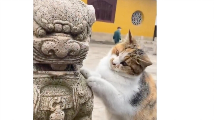 กระทู้ฮิตบนทวิตเตอร์: นี่คือของเล่นสำหรับแมวที่จีนทำขึ้นเมื่อหนึ่งหมื่นปีก่อน