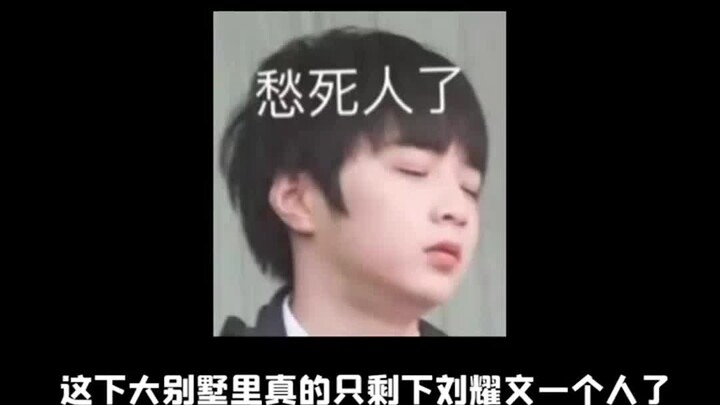 Now there’s really only Liu Yaowen left in the villa.