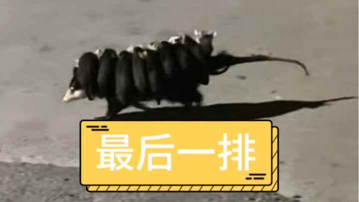 Kiếp sau nhất định không ngồi bàn cuối cùng nữa