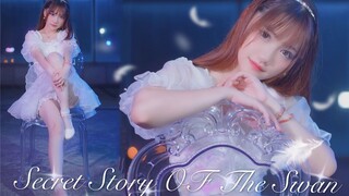 【凳猫猫】❉幻想童话❉是你的夜(肥)天鹅~Secret Story Of The Swan