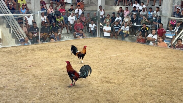 2 Hits Ulutan @DOUBLE D COCKPIT - LW