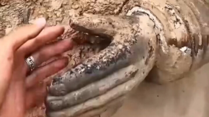 History is hard to face when you look closely; flip open just any page, and you’ll find their epic, 