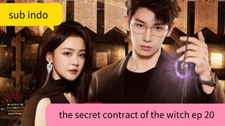 the secret contract of the witch ep 20 sub indo