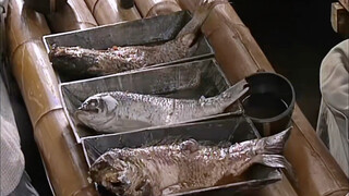 Ikan cuka Danau Taiyang paling awal dalam sejarah