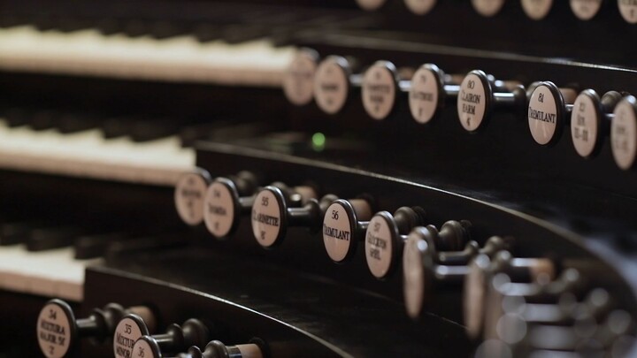 08_SPECIAL_ Anton Bruckner mit Hansjörg Albrecht