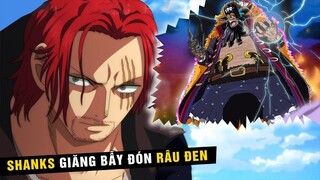 Sức mạnh Haki tương lai của Shanks, Băng Tóc Đỏ săn lùng giăng bẫy băng Râu Đen [ One Piece 1079+ ]