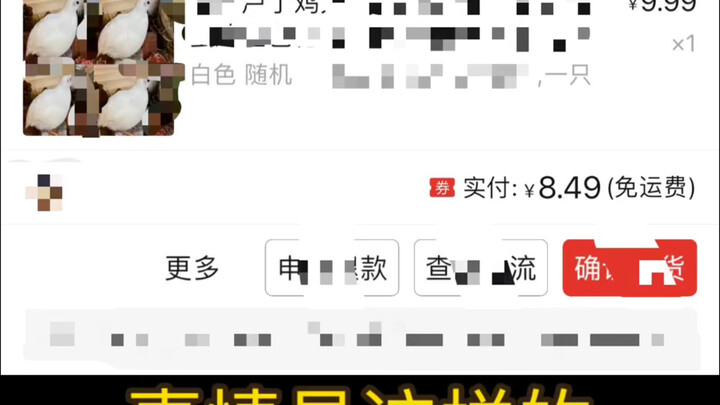 网上买了一只芦丁鸡，想当做宠物，结果。。。请不要为难客服因为她也得被扣工资。。。#芦丁鸡#宠物 #木工diy #鸡#鸟类