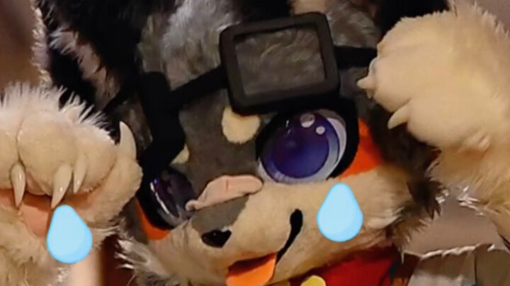 إذا خفق قلبك، فأنت الخاسر!