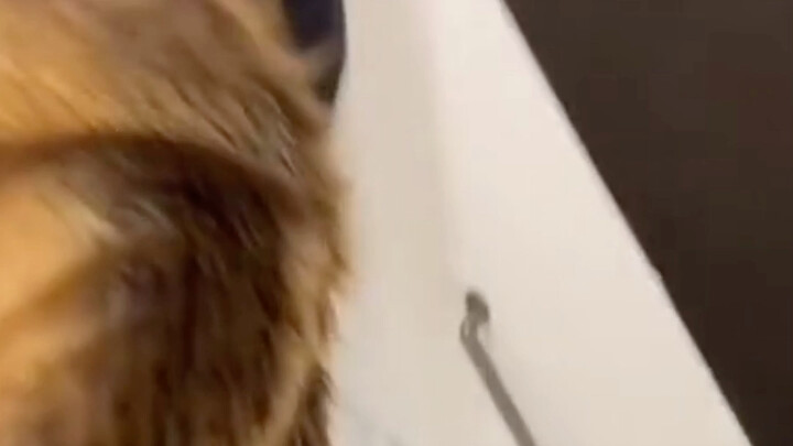 Sorry! I just couldn’t help myself! The people of Texas are so creative!