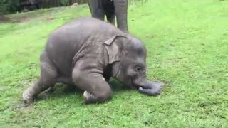 จะผ่านกี่เดือนหรือกี่ปีก็ยังขำและตลกเหมือนเดิม🤣😅😂5555