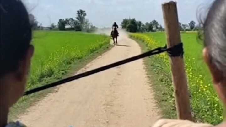 entertainment video