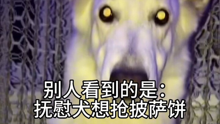 Chó an ủi: Hãy ăn ít đi