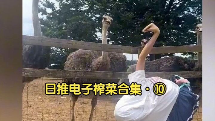 A Collection of “Electronic Pickles” I Scooped Up Browsing Japan’s Twitter – Vol. 10