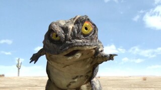 To avoid being caught by an eagle, a lizard hid in a Coke bottle