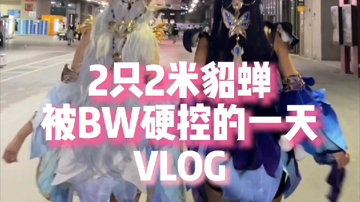 Coser Diaochan setinggi hampir 2 meter (sehari dikekang habis-habisan oleh BW) 😭