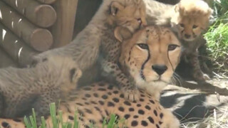 ความในใจของแม่: ต้องอดทน! นี่คือลูกของฉัน!