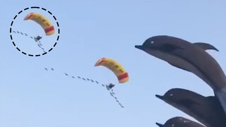 Stealing Your Wocao in 10 Seconds.