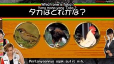 Kamen Rider OOO Hyper Battle DVD HD