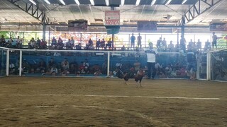 Prh/Tornado 2hits 1st fyt Win 2nd fyt Lose No Video