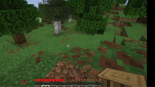 minceraft survie 1