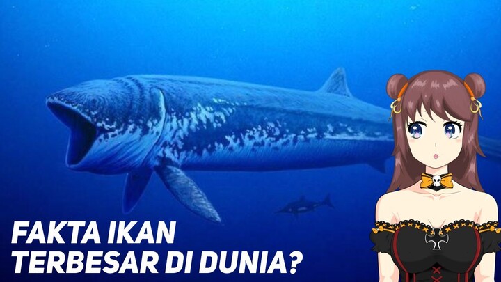 Ikan ini adalah Ikan Terbesar di Dunia?