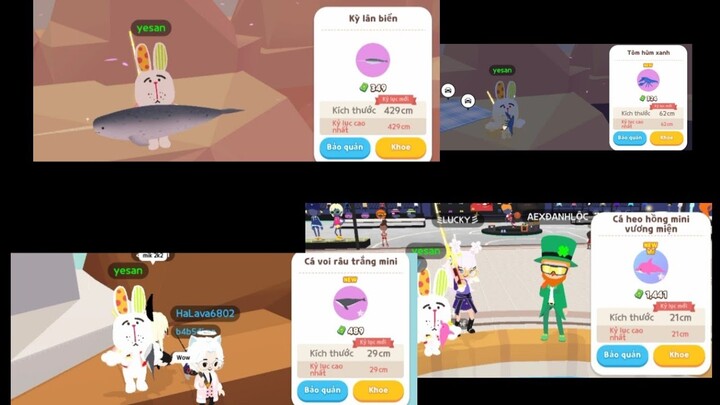 Play Together | Highlight câu cá, một ngày quá nhiều cá mới.