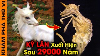 🔥 Phát Hiện Kỳ Lân 2900 Năm Dưới Lòng Đất Và 7 Khảo Cổ Bí Ẩn Nhất Trên Thế Giới | KPTV