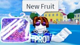 The Roblox Blox Fruits Experience 4