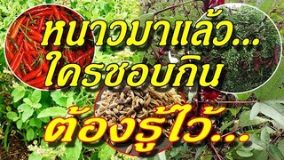 หนาวมาแล้ว... ใครชอบกิน ต้องรู้ไว้