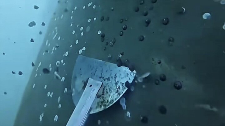 Diving underwater to clean barnacles from the ship's hull