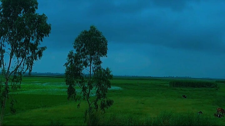sky view