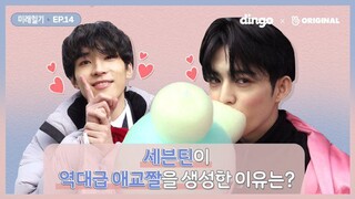 SVT [S.Coups & Wonwoo] 💫 DINGO FUTURE DIARY ENG SUB FULL