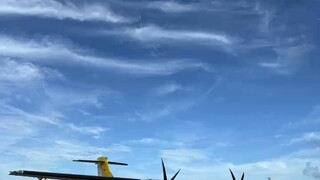 少年一定要有所失    才能有所悟