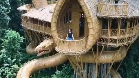 She Built Her Dream Home in the Forest 🌿🏡