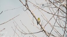 Unexpected-Business-Season-2.Episode-5 Eng sub