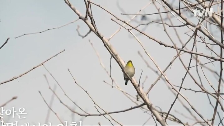 Unexpected-Business-Season-2.Episode-5 Eng sub